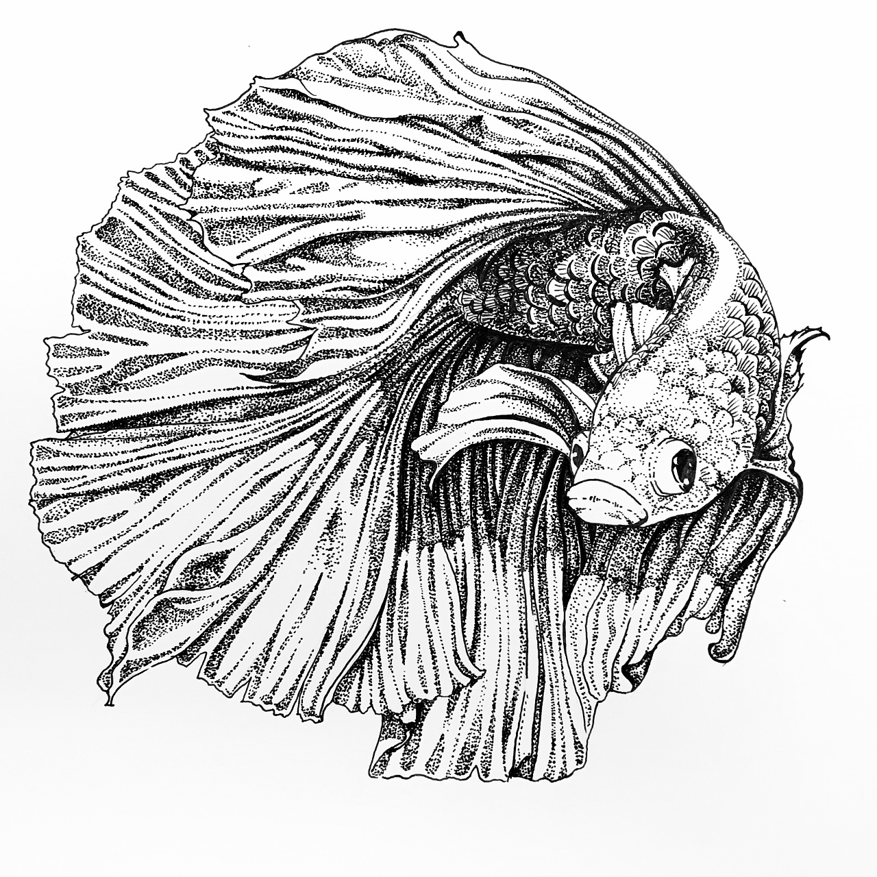 斗鱼- 原创作品 - 站酷(zcool)