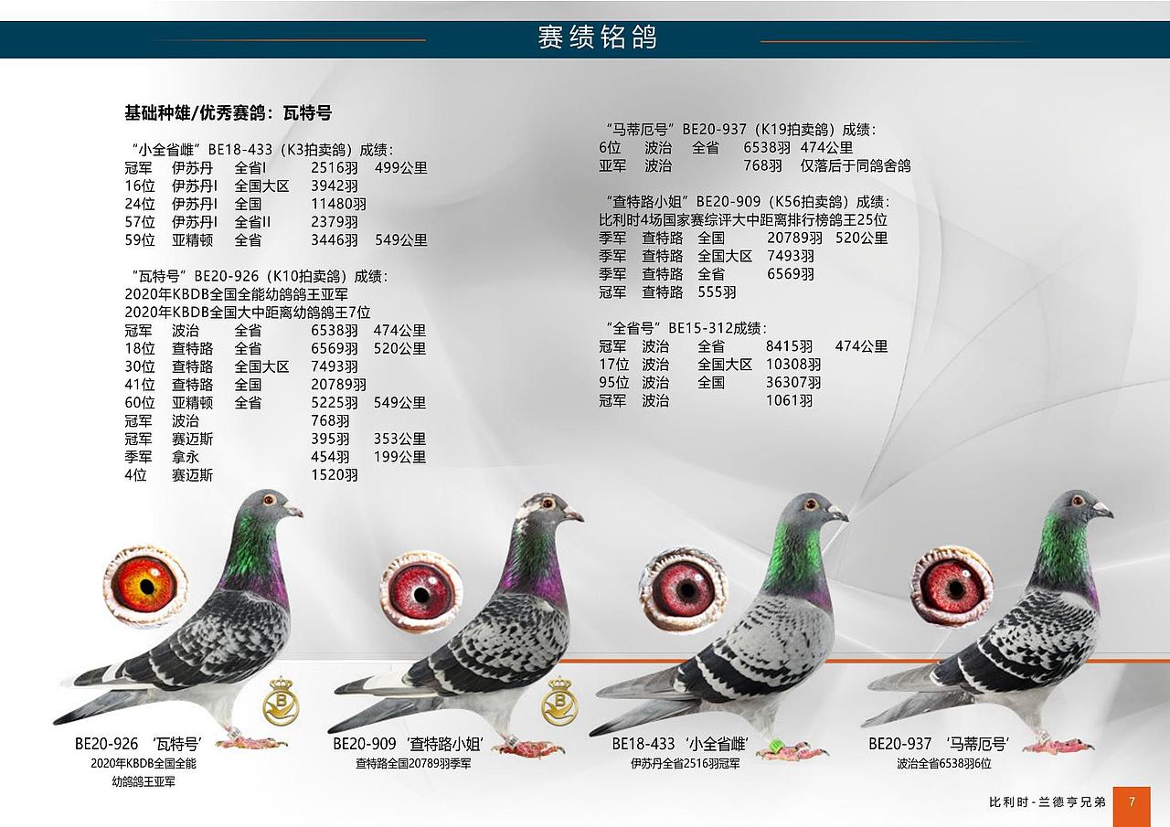 中文畫冊（圖ZMjQ1MDMxNjk2） - 書籍/畫冊 - 站酷設(shè)計師花綴磨墨原創(chuàng)素材 - 站酷ZCOOL