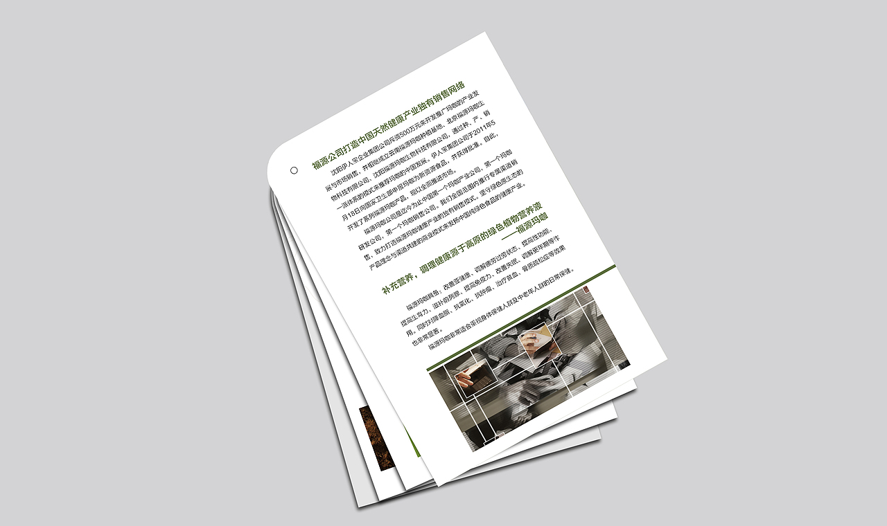 画册--玛咖产品说明手册（图ZNDUzNTQ0MA==） - 其他平面 - 站酷设计师蟹蟹殿下原创素材 - 站酷ZCOOL