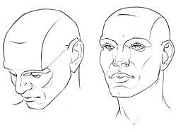 如何从不同角度绘画头 