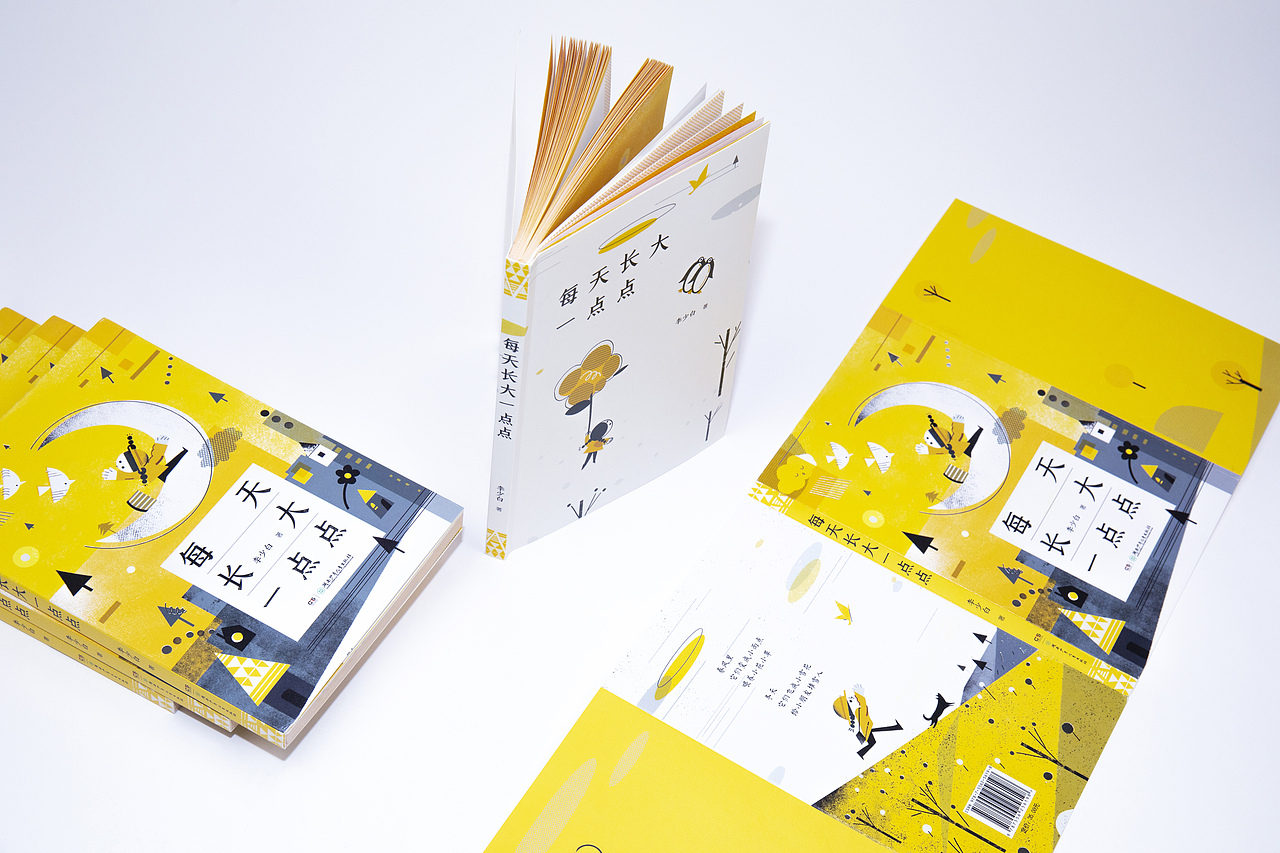 全家福展示,护封,内封单本书的效果.