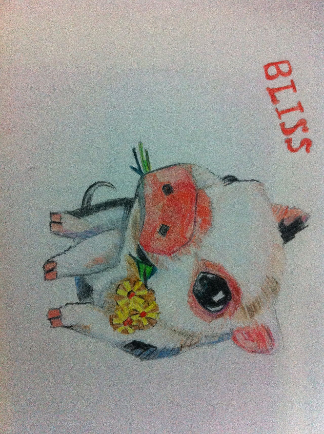 猪猪彩绘（图ZMTE5Njg5NDg=） - 创作习作 - 站酷设计师JUMMY_miss原创素材 - 站酷ZCOOL