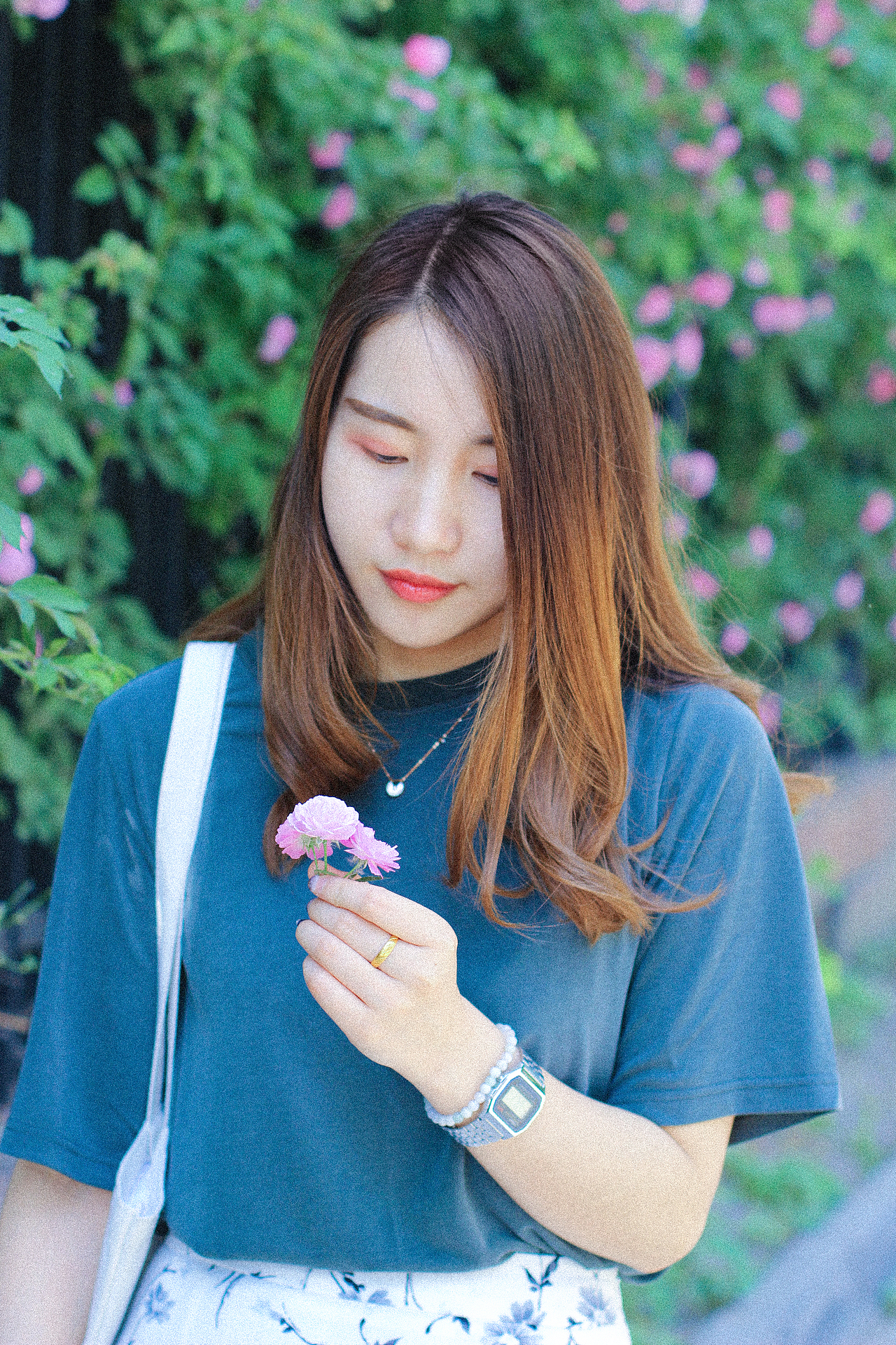 2018年5月份北京的蔷薇花和少女花花。