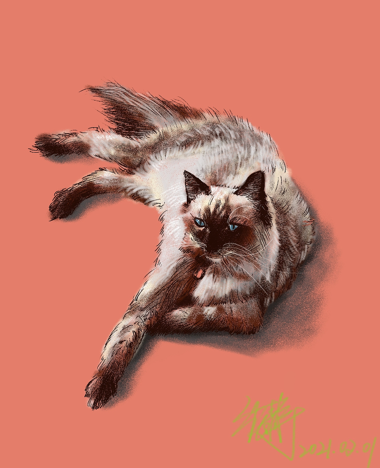 美美（圖ZMjQxNzEyNDc2） - 創(chuàng)作習(xí)作 - 站酷設(shè)計(jì)師哈利是只基原創(chuàng)素材 - 站酷ZCOOL