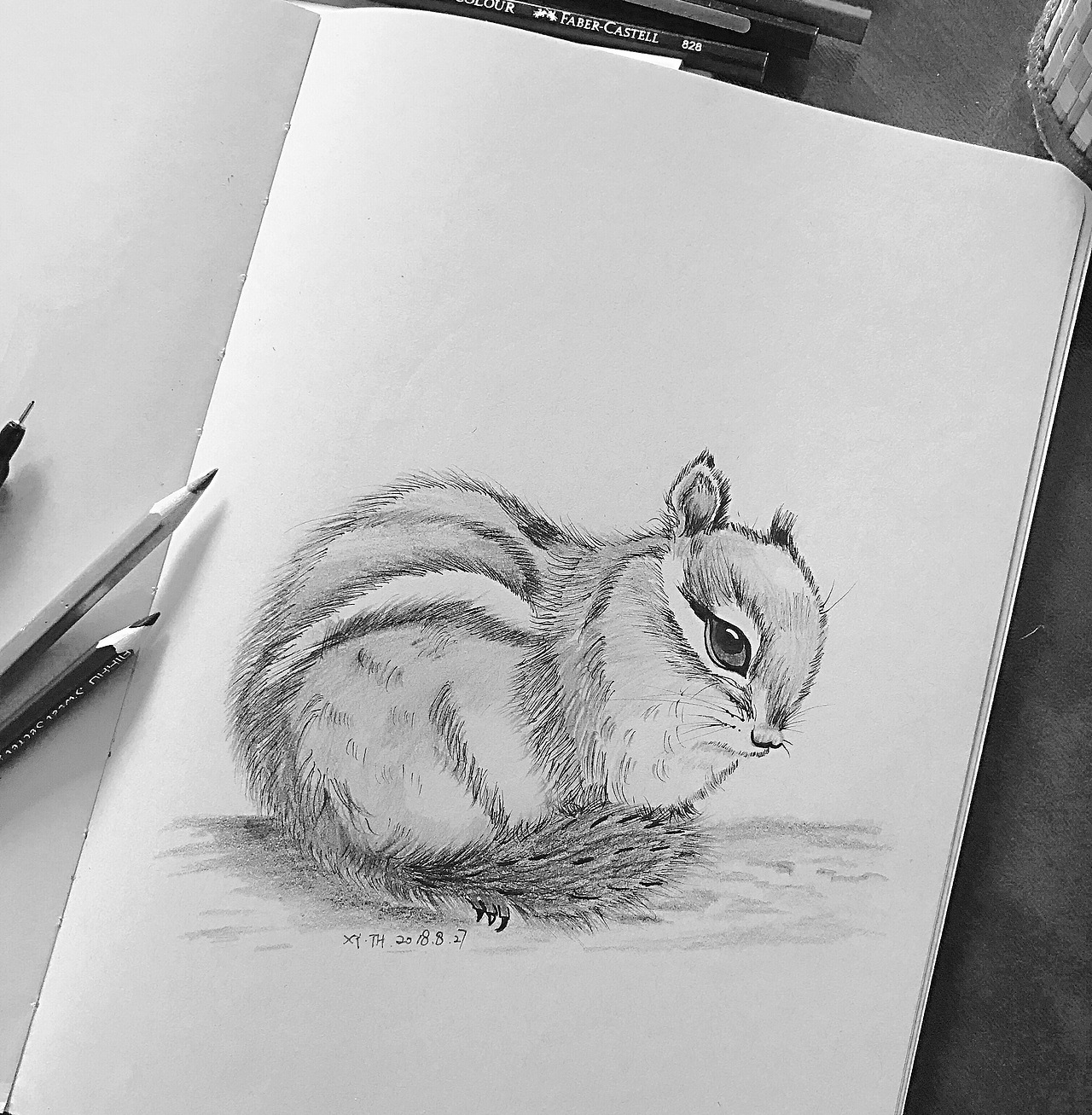 黑白动物系列_英子手绘插画控-站酷zcool