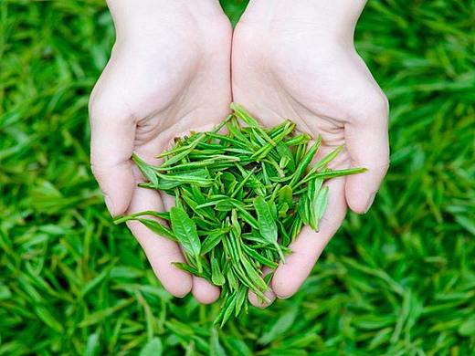 6（個人主頁-ZMzM2NzQxOTI=） - 其他 - 站酷設(shè)計師小小魯原創(chuàng)素材 - 站酷ZCOOL