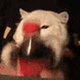 嚯呀O一O的头像