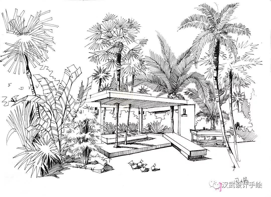 5热带雨林景观休憩区手绘图