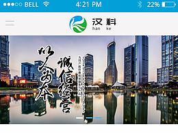 移動端官網項目