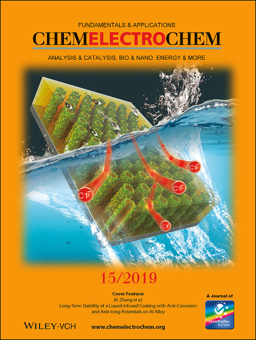 sci学术期刊封面论文配图设计科研绘图医学插画动画TOC