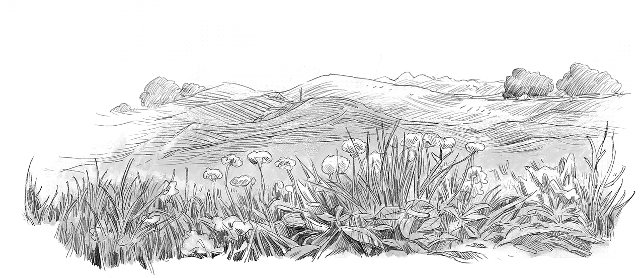 央视经济频道创业英雄汇片头设计