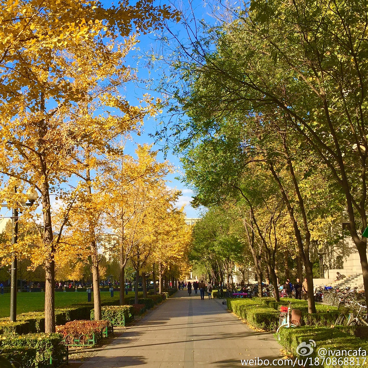 清华の深秋（图ZNjgyNjU0NjQ=） - 环境/建筑摄影 - 站酷设计师ivancafa原创素材 - 站酷ZCOOL