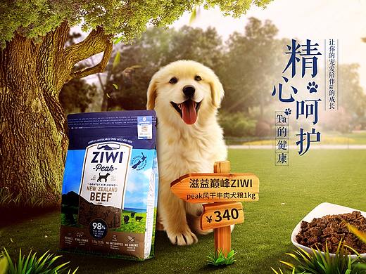 巔峰狗糧頁面（個人主頁-ZMjg1NjA3MzI=） - 電商 - 站酷設(shè)計師我是PoPo原創(chuàng)素材 - 站酷ZCOOL