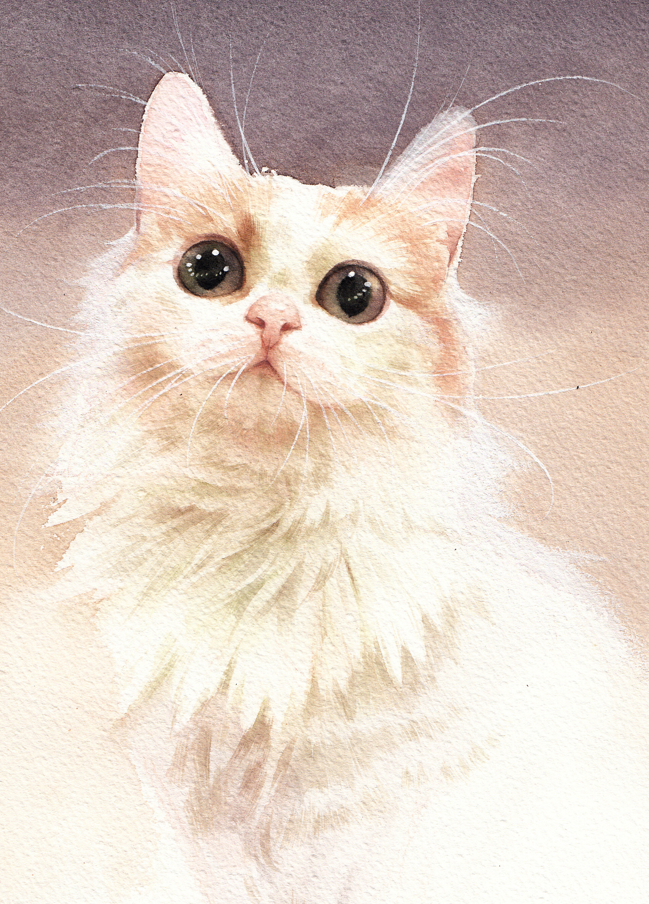 彩铅动物临摹练习——祥雷的《美国短毛猫》|纯艺术|绘画|Landy岚 - 原创作品 - 站酷 (ZCOOL)