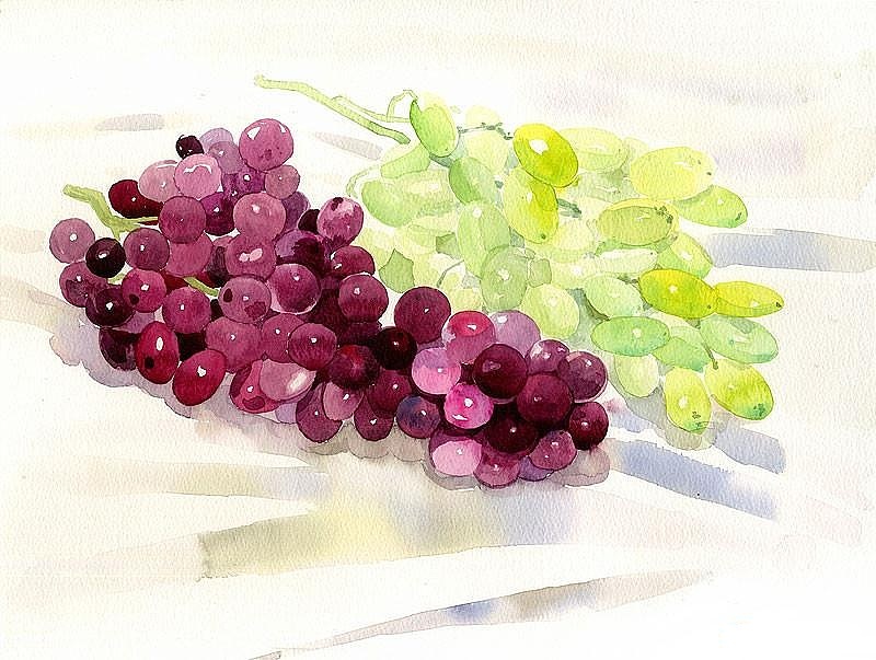 格调彩绘分享-厨房里的植物彩绘（图ZOTE0OTY0MDQ=） - 图案 - 站酷设计师格调彩绘原创素材 - 站酷ZCOOL