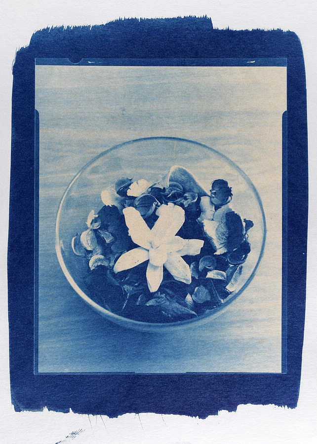 蓝晒印相(1)|摄影|风光摄影|tczpanda - 原创作品 - 站酷 (zcool)