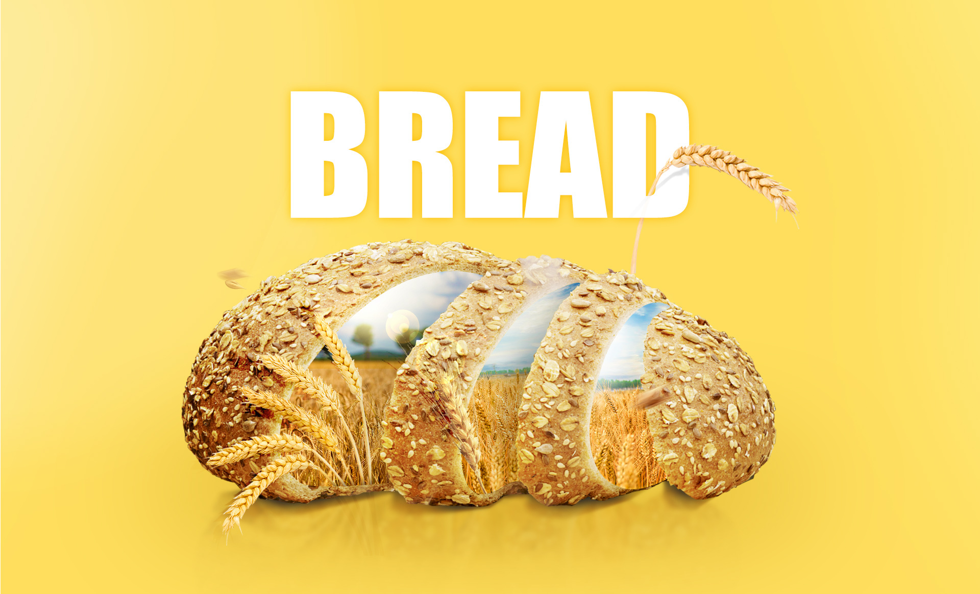 创意合成-练习-全麦面包