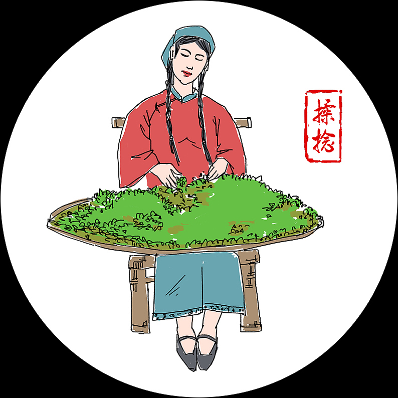 采茶工艺