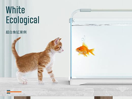 星湖水族 造景鱼缸 详情页渲染+设计案例分享