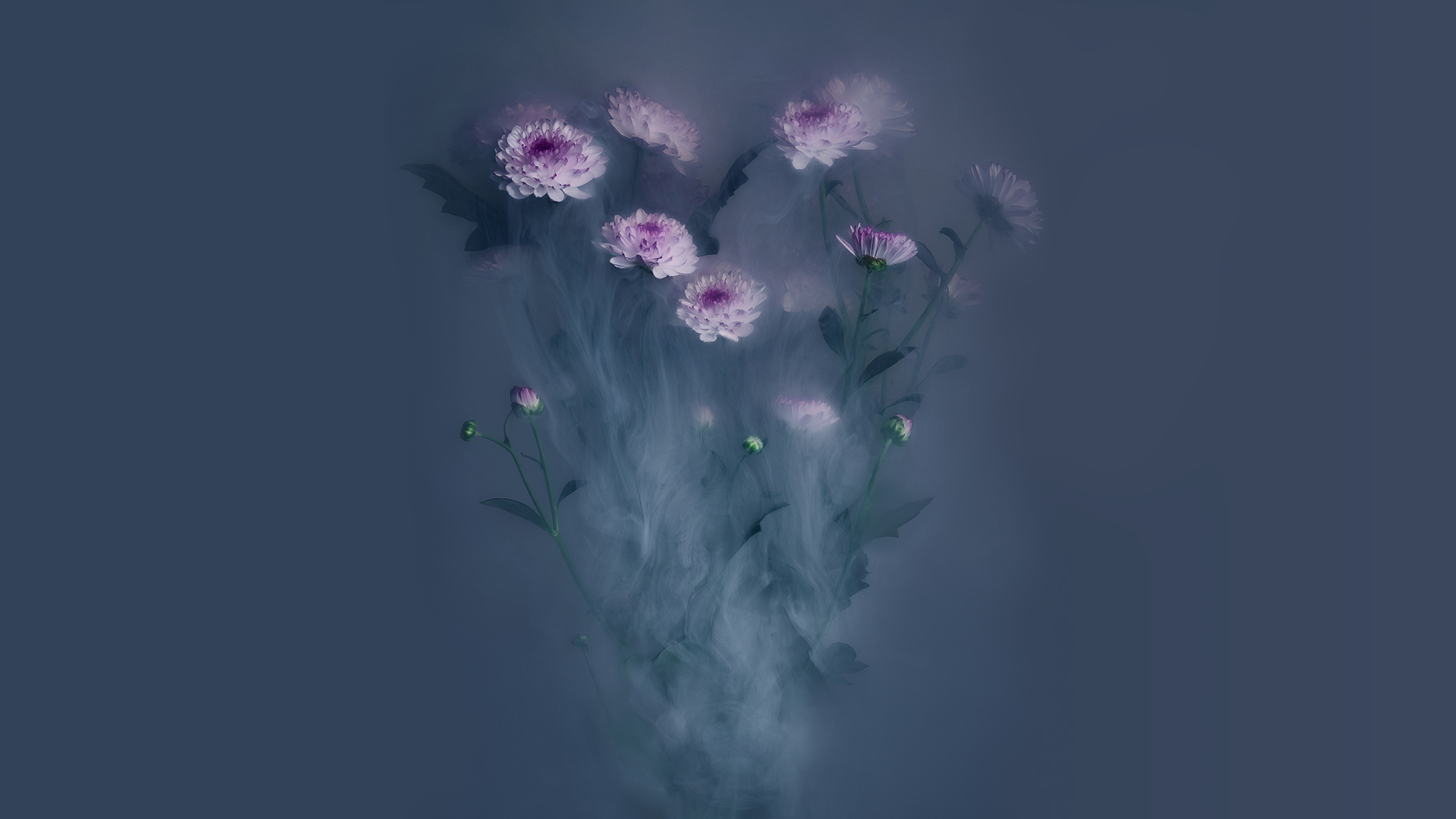 只是固执的个人主页（封面预览） - 主页封面设置 - 站酷设计师只是固执原创素材 - 站酷ZCOOL