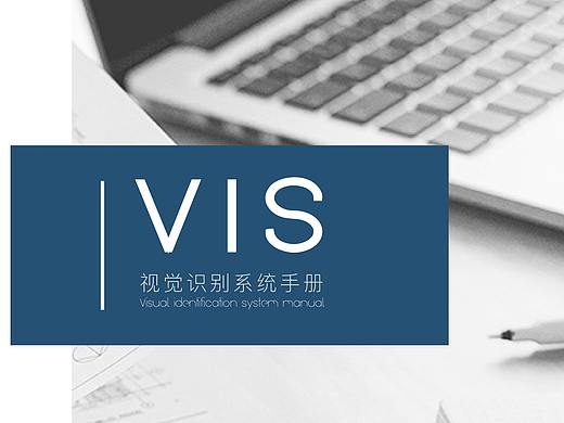 VI系统手册