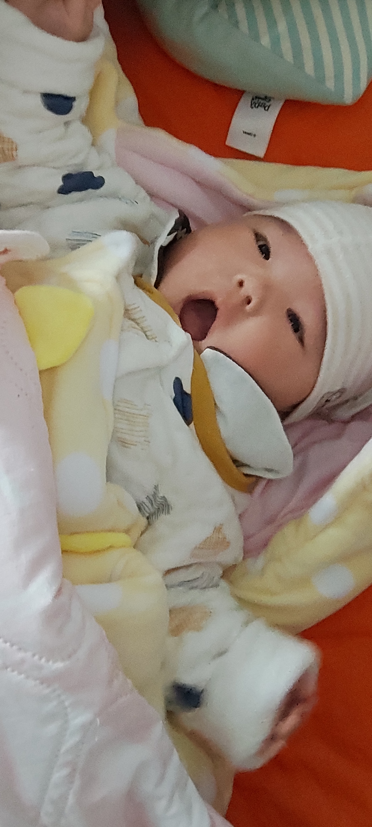 第213集 焱琳浩文艺术 2022虎年大吉新年快乐