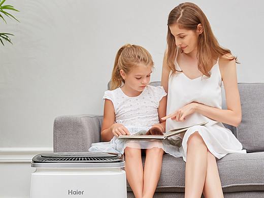 深圳 | ZD | 摄影 净化心灵~