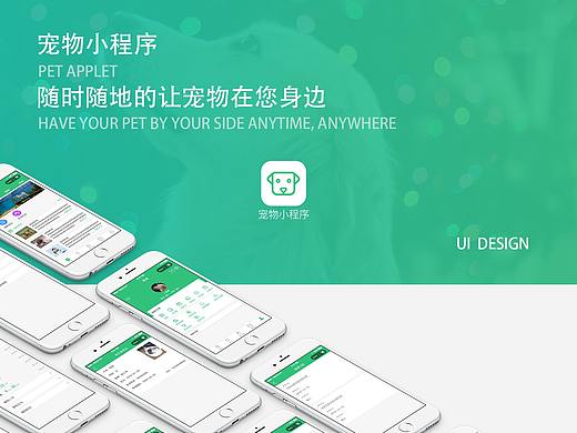 宠物小程序总结