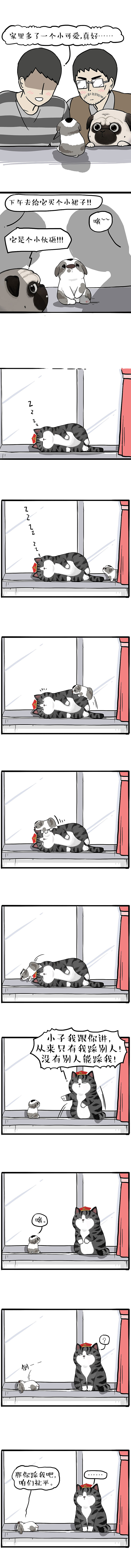 垃圾桶里没有小鱼干，但我有......（图ZMjU5NzA2MzY0） - 中/长篇漫画 - 站酷设计师吾皇的白茶原创素材 - 站酷ZCOOL
