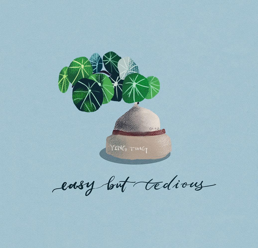 植物插画练习（图ZMTkyMDA3NDYw） - 创作习作 - 站酷设计师jenrien原创素材 - 站酷ZCOOL