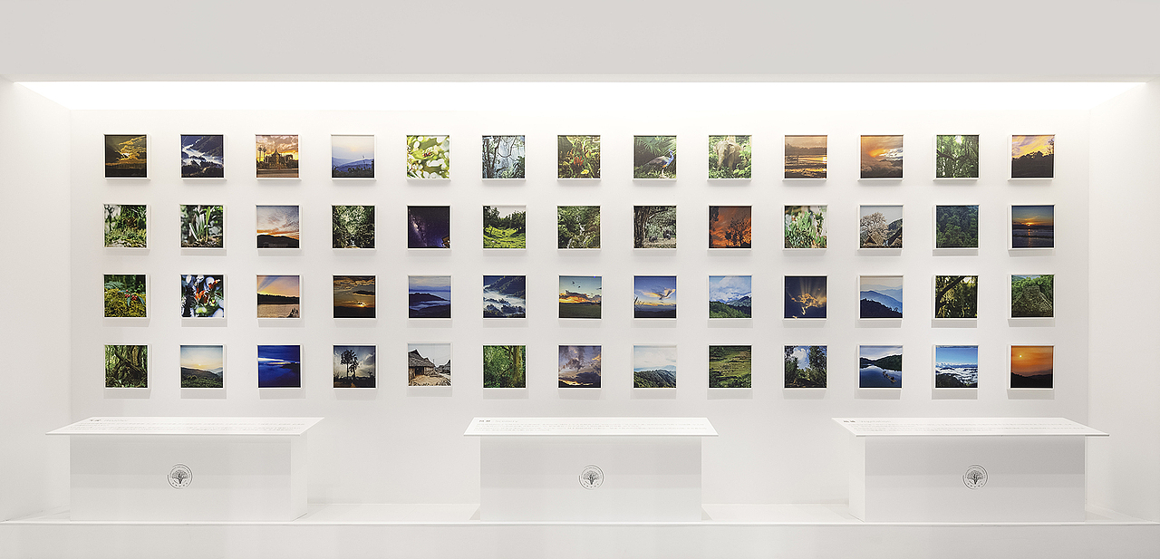 沉浸体验时代，雨林古树茶的体验之旅（图ZMjk0OTgzMjky） - 展陈设计 - 站酷设计师容品牌原创素材 - 站酷ZCOOL