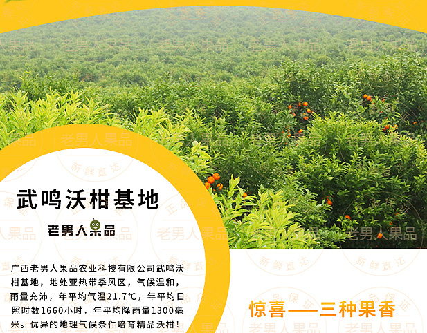 沃柑详情页（图ZMTAyNzgxODg0） - 宣传物料 - 站酷设计师邱公城原创素材 - 站酷ZCOOL