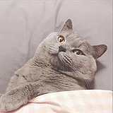 24像素的头像