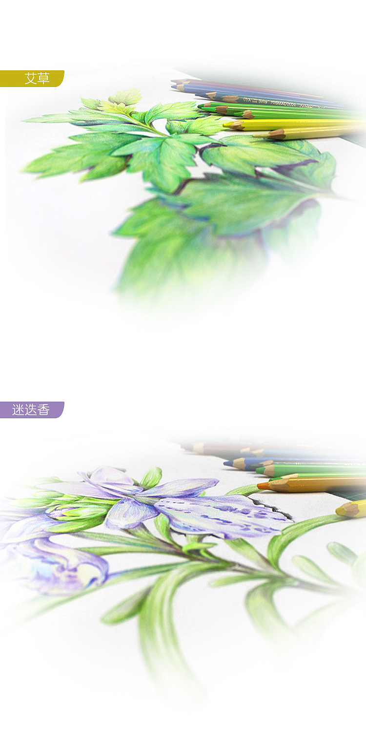 薇萃（图ZMzQxMDcwMzI=） - 包装 - 站酷设计师红漆工原创素材 - 站酷ZCOOL