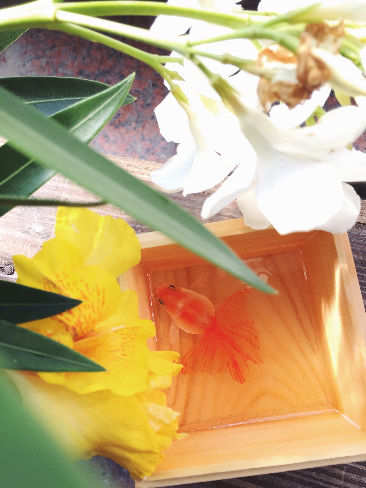 树脂金鱼之这段时间画的。（图ZOTA3MTQxMTI=） - 工艺品设计 - 站酷设计师亚麟原创素材 - 站酷ZCOOL