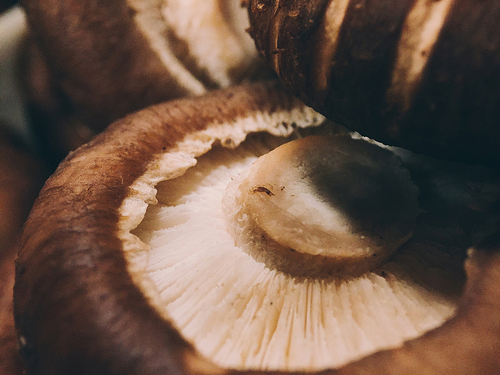 鹿马影像手机摄影|手机微距摄影·火锅