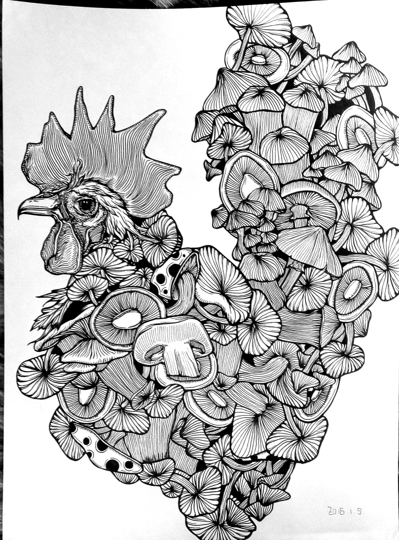 卡通蘑菇小鸡图片素材-编号07874925-图行天下