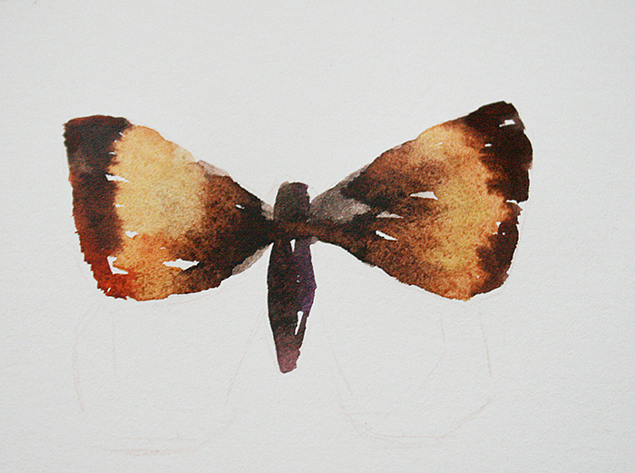 #candy田水彩教程# 金蝴蝶是怎样产生的~