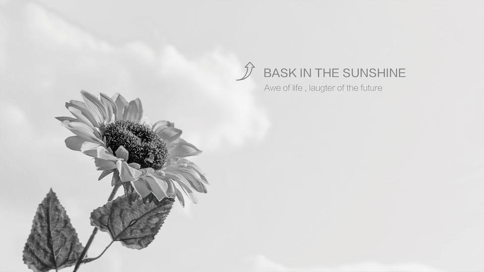 绿叶生命标志修改提案（图ZMjM2MDkwMDc2） - Logo - 站酷设计师许天博原创素材 - 站酷ZCOOL