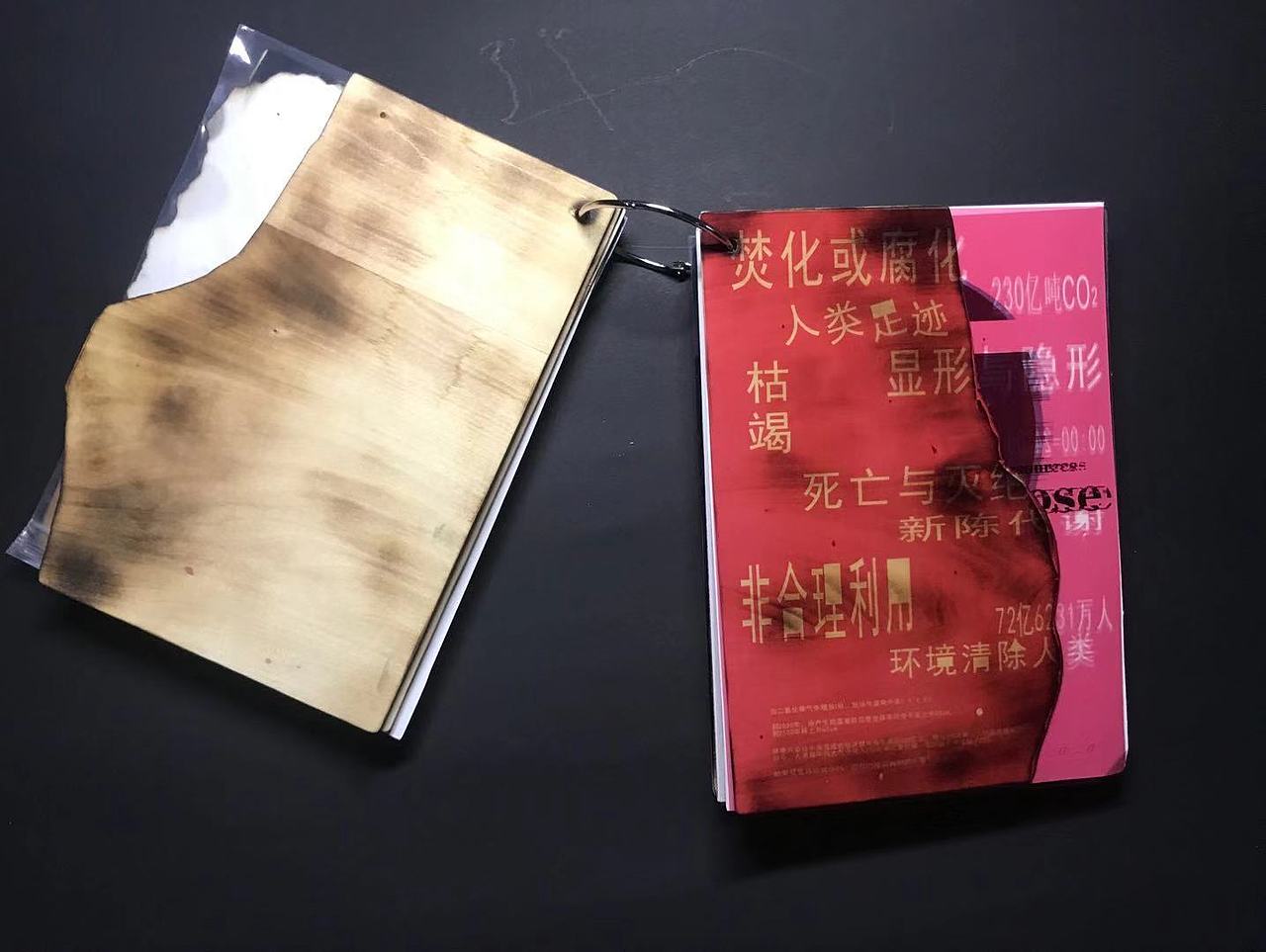 概念书籍《腐》（图ZMTQwMDgwOTE2） - 书籍/画册 - 站酷设计师逸后原创素材 - 站酷ZCOOL