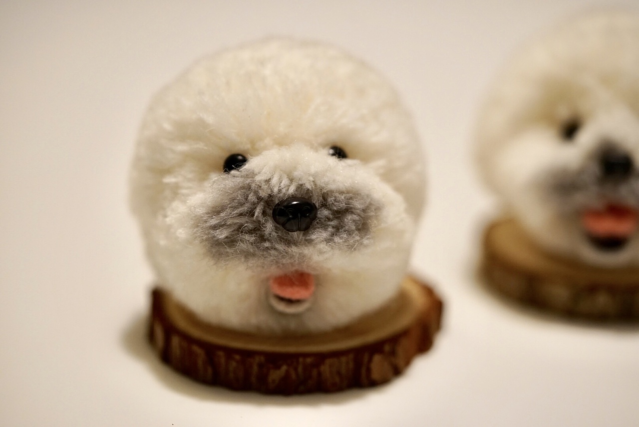 羊毛毡比熊泰迪狗狗