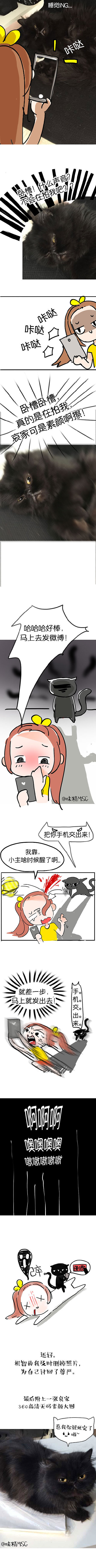 一只自拍的喵（图ZMjc2ODQ0NDA=） - 短篇/格漫 - 站酷设计师味精MSG原创素材 - 站酷ZCOOL