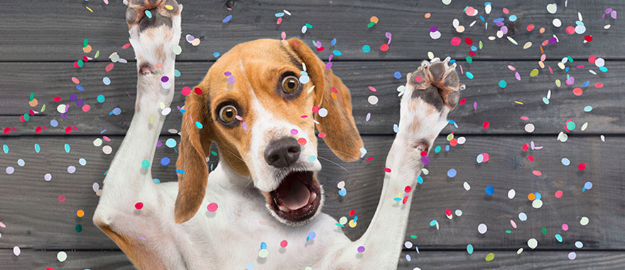 Z佳宁23333的个人主页（背景预览） - 主页背景设置 - 站酷设计师Z佳宁23333原创素材 - 站酷ZCOOL