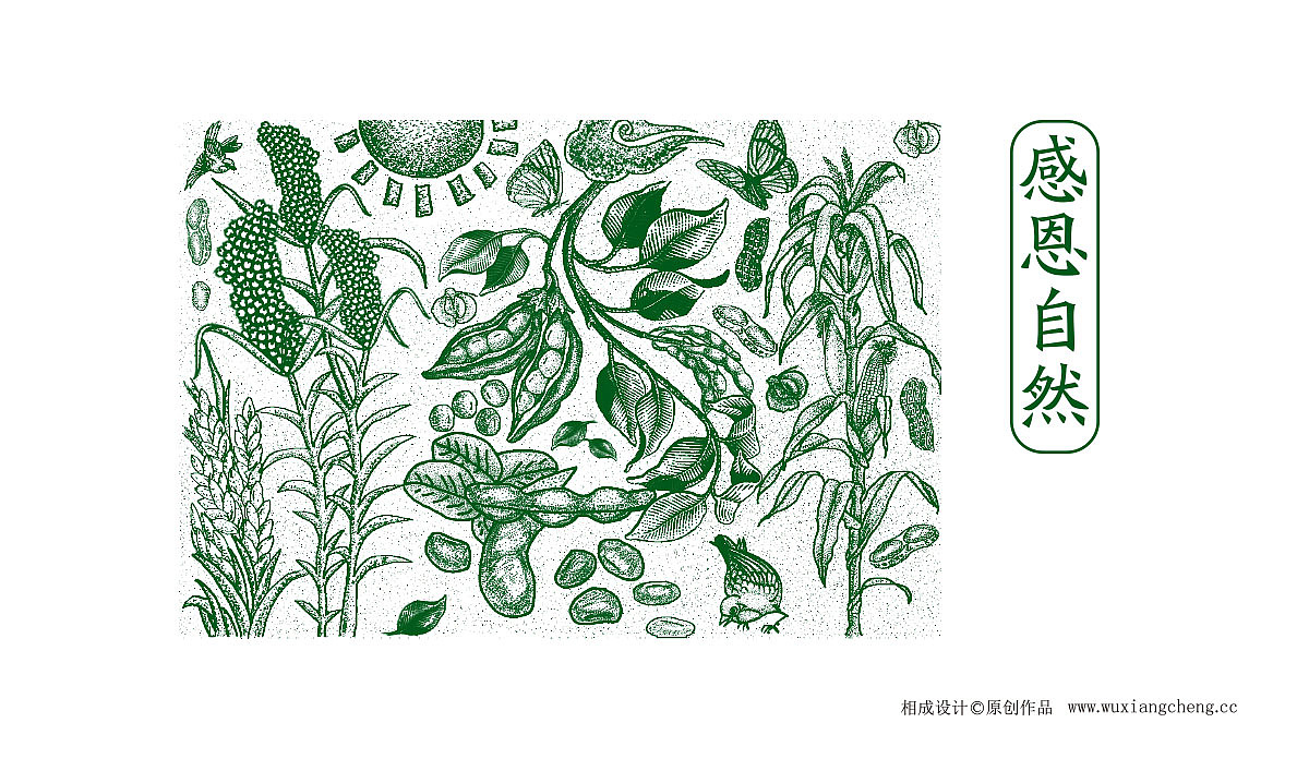 北大荒五谷包装——相成品牌原创设计