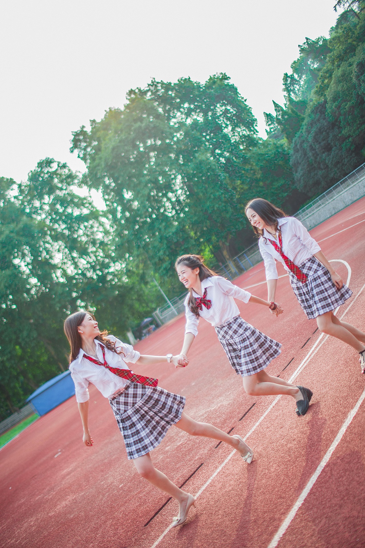 时光不老,我们不散