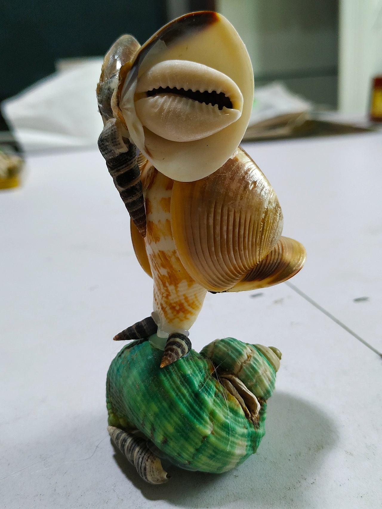 贝壳做的睡着的猫头鹰 - 原创作品 - 站酷(zcool)