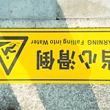 谢大炮的头像