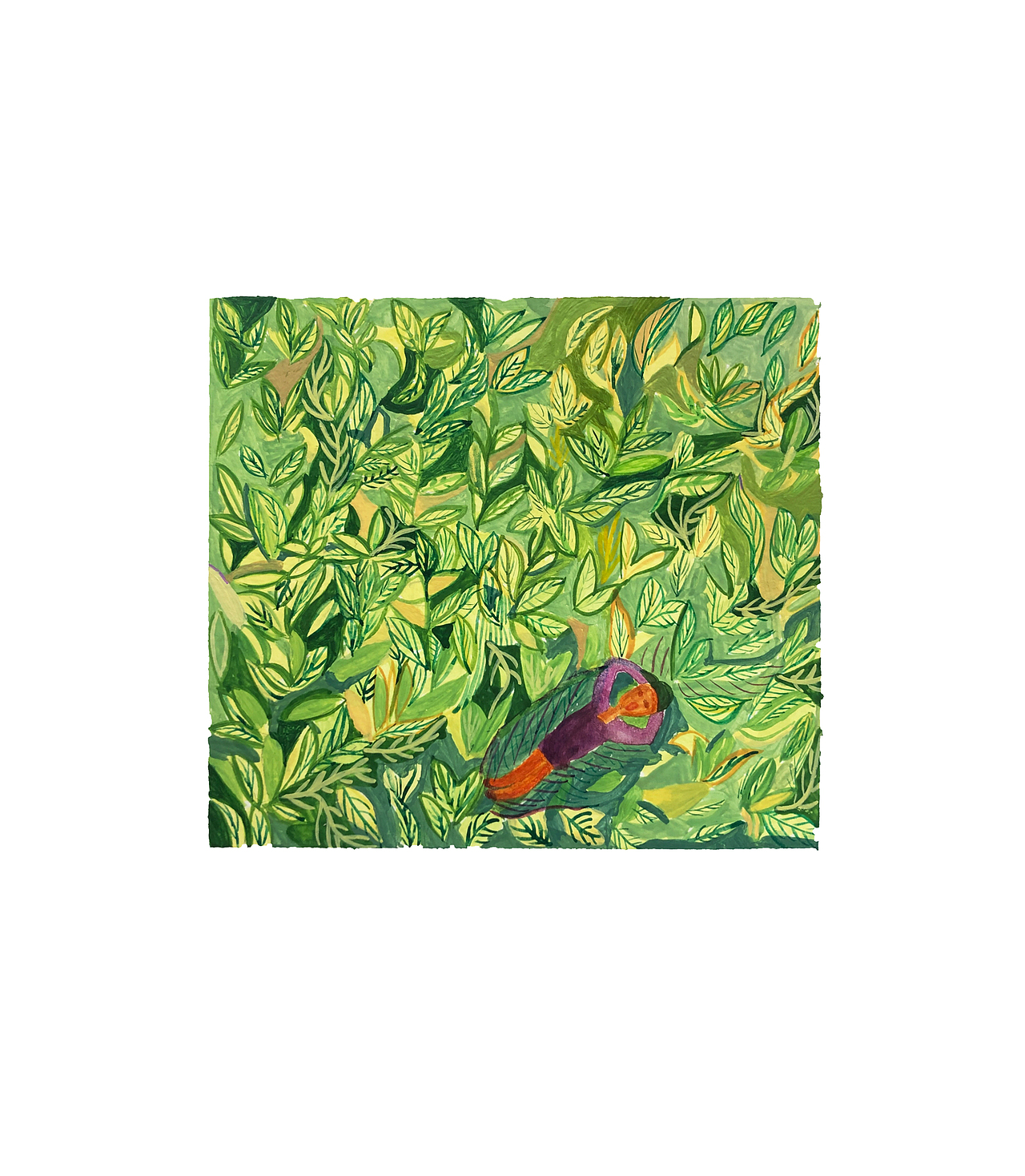 绿色上的精灵(植物系列3张)