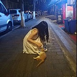 Atao78的头像
