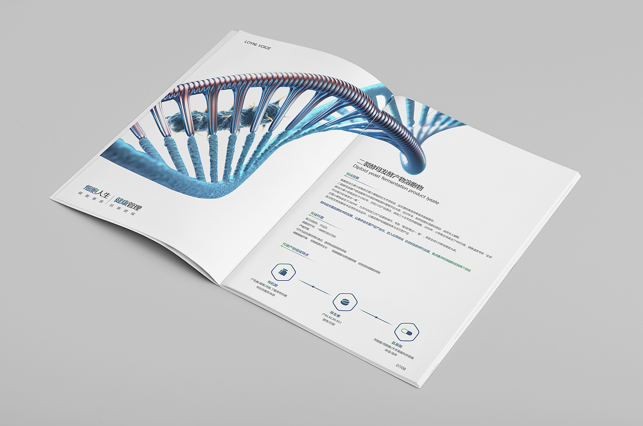 美容基因医疗画册